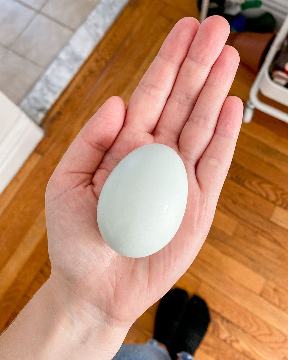 a hand holding an egg