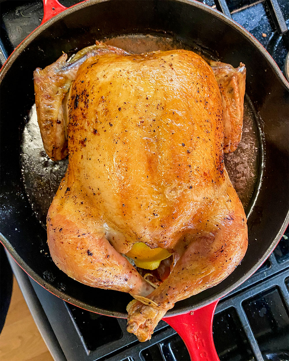 a roasted whole chicken